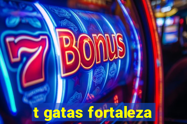 t gatas fortaleza